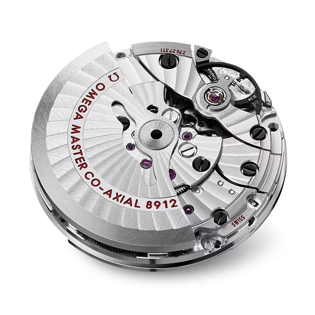 OMEGA Seamaster Planet Ocean 600M 42mm - Black on Bracelet