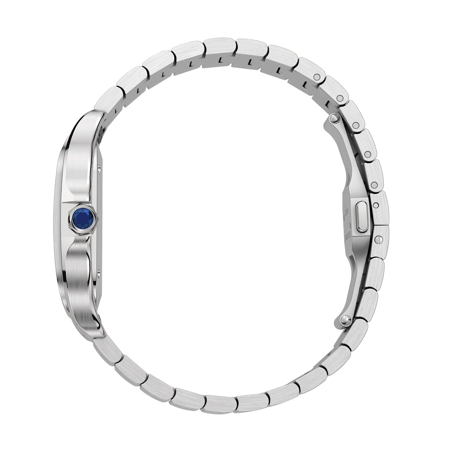 Santos de Cartier | 35mm, Steel, Blue Dial